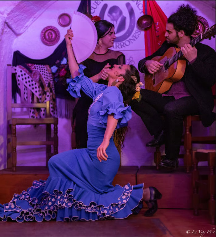Cueva flamenca Los Parrones